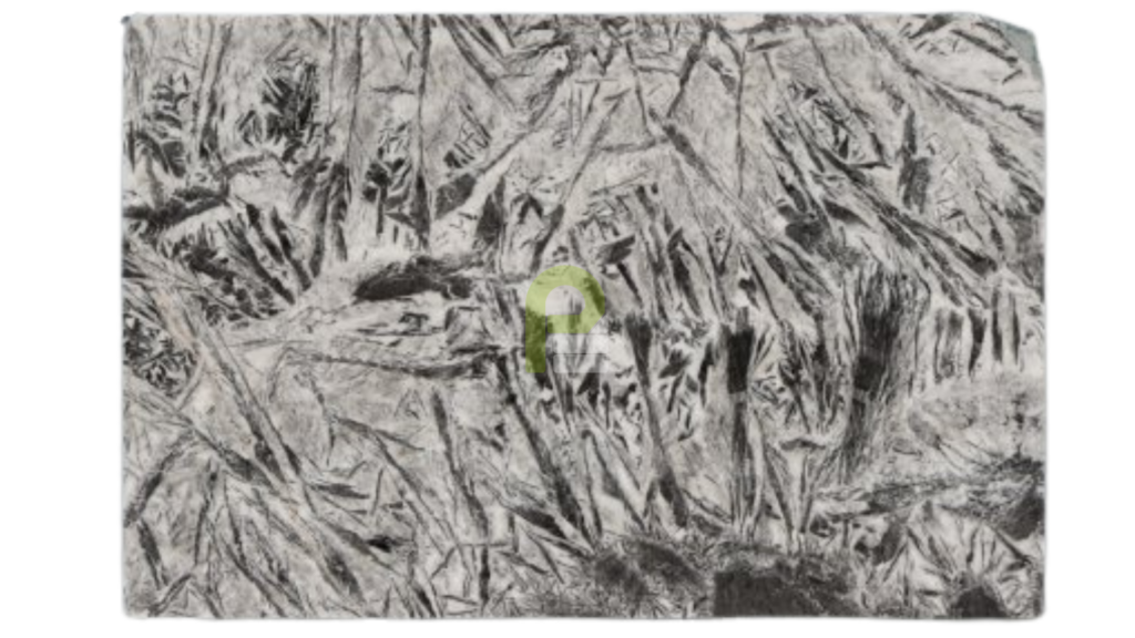 White Palm